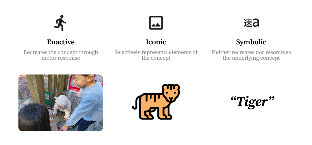 Enactive, Iconic, and Symbolic representations of a tiger
